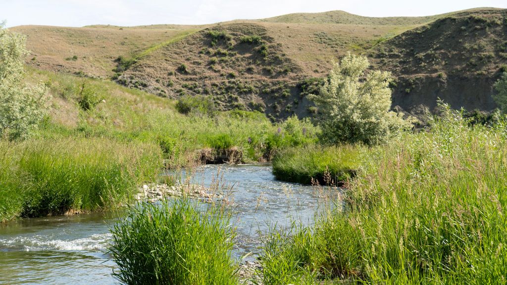 A creek winding through grassland below Central Montana hills