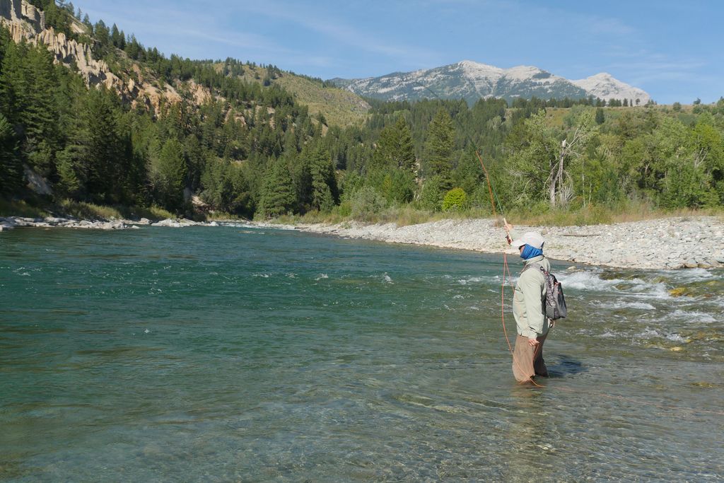 Fly angler wading a clear reach of the Flathead River below wooded mountains
