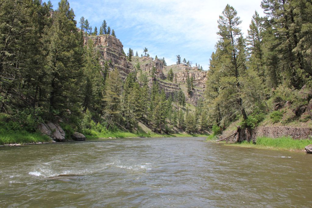 Smith River flowing between pine trees and limestone canyon walls