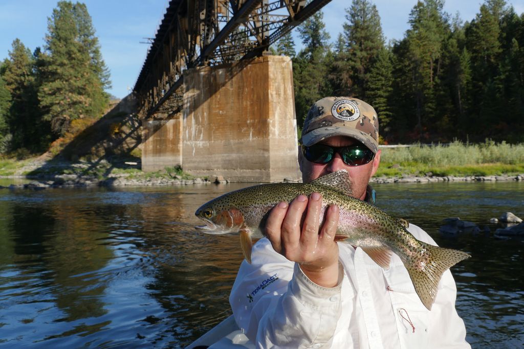 Angler holding a trout beside a river bridge