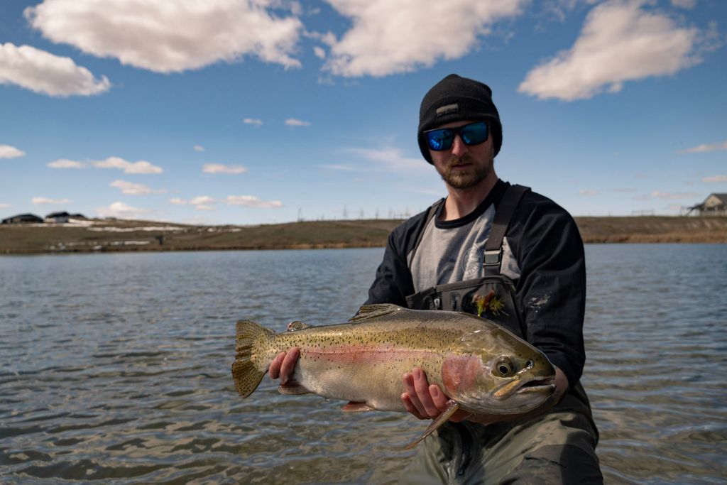 Angler holding a rainbow trout beside a lake