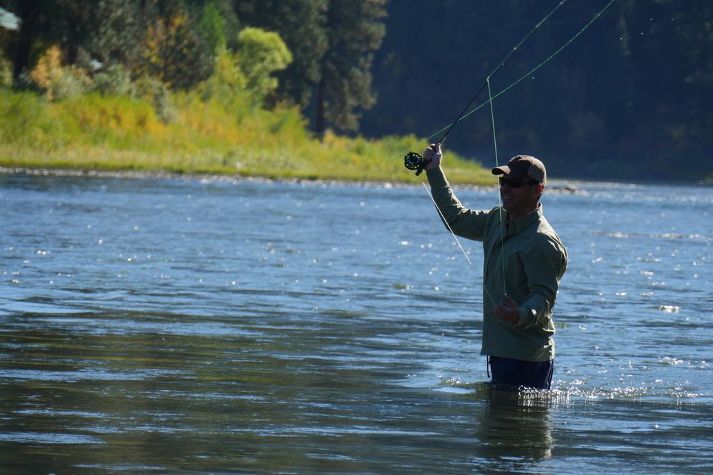 Angler raising fly line while wading beside a tree-lined river