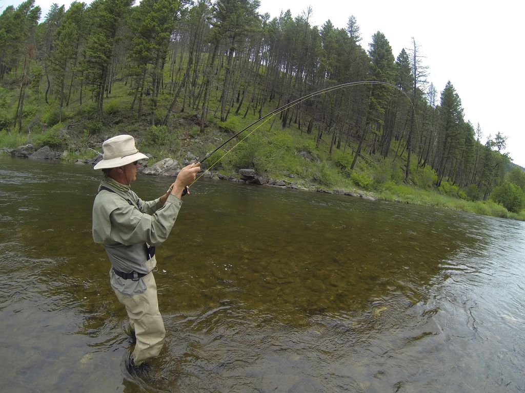 Fly angler casting while wading the Blackfoot River