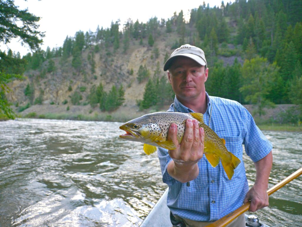 Angler holding a brown trout beside the Blackfoot River
