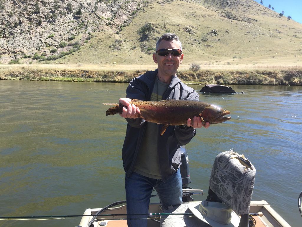 Angler holding a large brown trout in a boat on the Missouri River in the Land of the Giants area