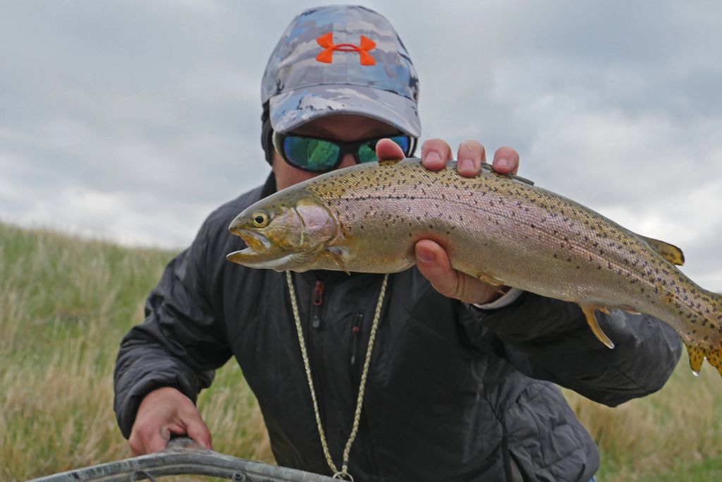 Angler holding a rainbow trout beside a river
